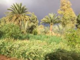 image IMG_2294.jpg (4.1MB)