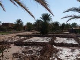 image P1060599.jpg (2.8MB)