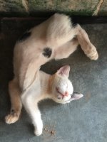 ChaT_2020-05-27-16.52.10.jpg