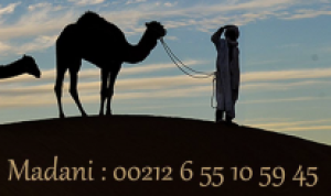 image Capture_decran_20200327_a_171154.png (1.0MB)