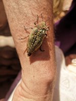 JulodiS_img_20200412_155450.jpg