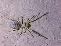 TestArraignee_img_2242.jpg
